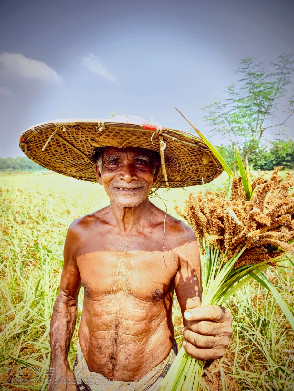 Portfolio Image
