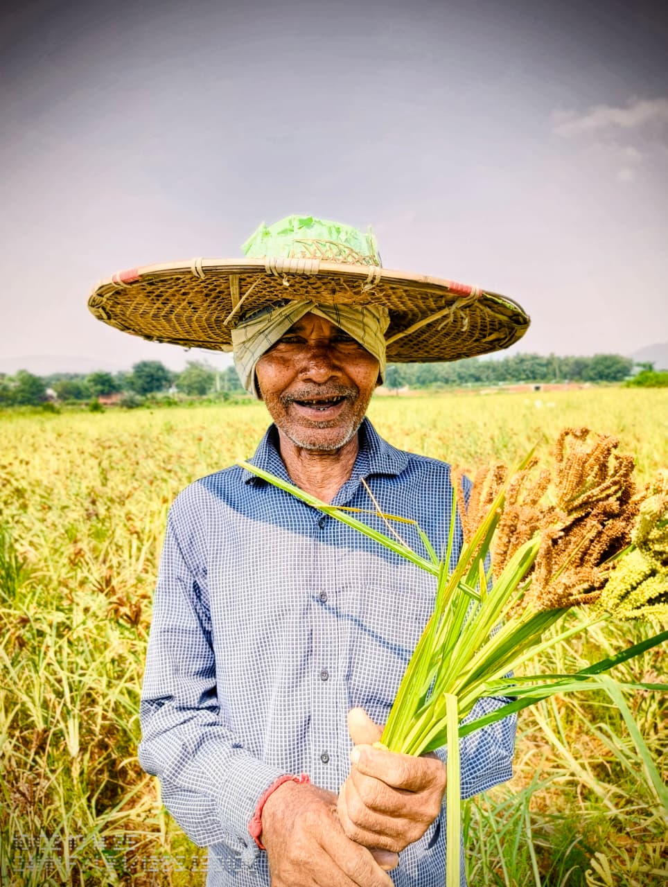 Portfolio Image