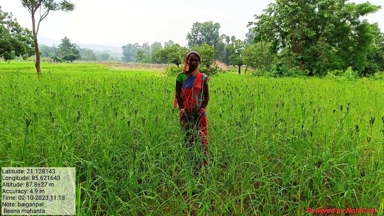 Portfolio Image