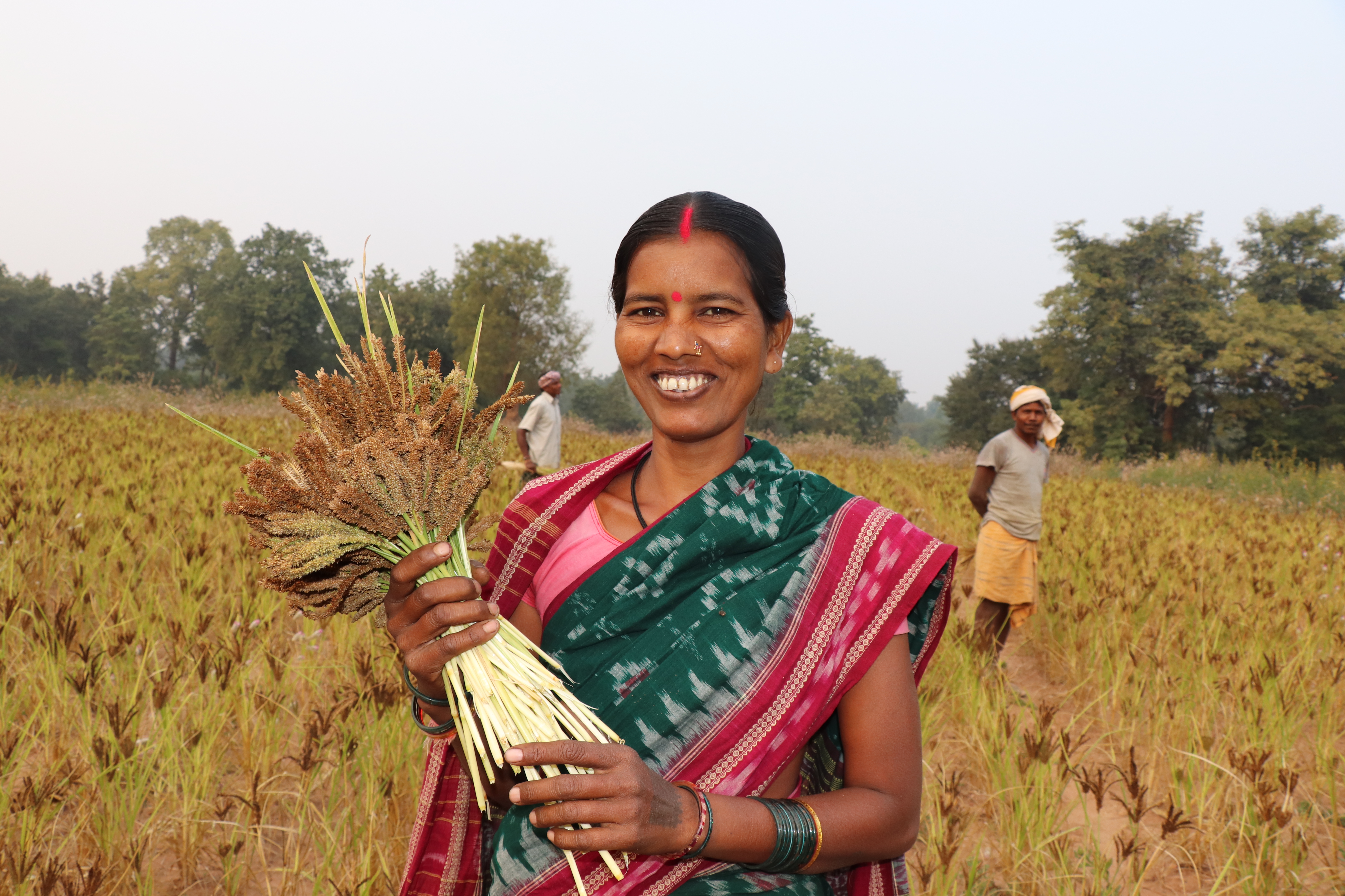 Portfolio Image