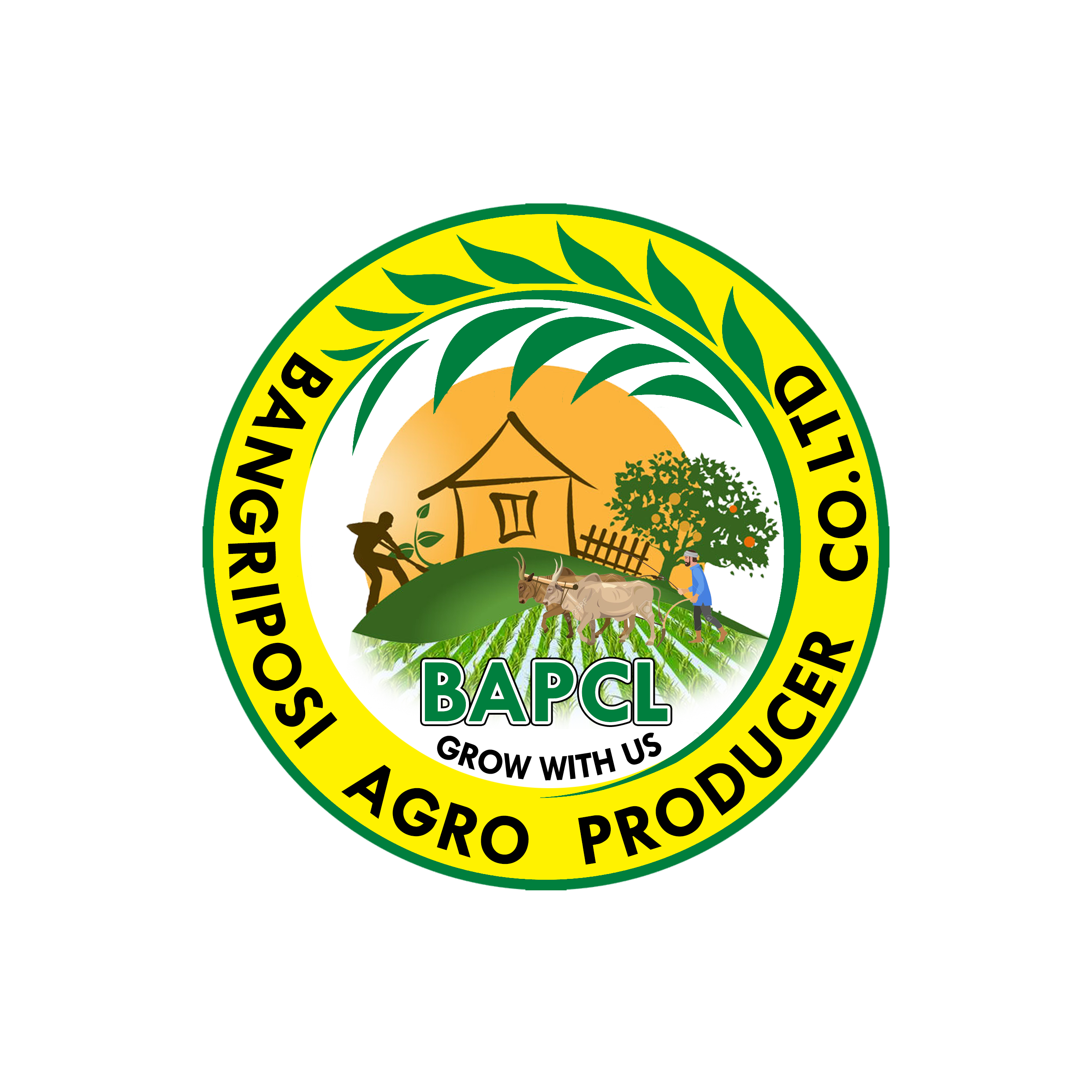 Bangriposi Agro Producer Company Ltd-logo