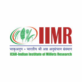IIMR
