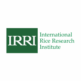 IRRI
